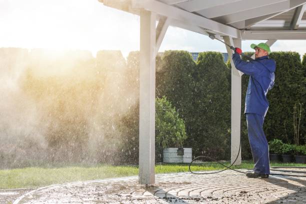 Best Pool Deck Cleaning  in Elmo, TX