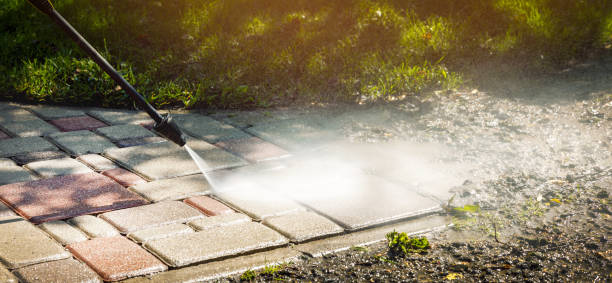 Best Building Exterior Washing  in Elmo, TX